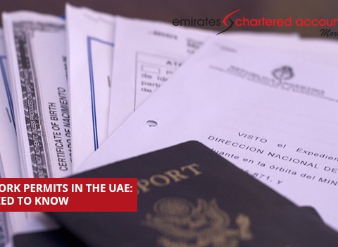 Freelance work permits in the UAE