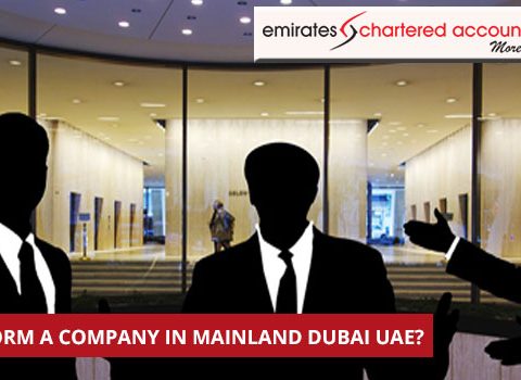 How to form a company in Mainland Dubai UAE?